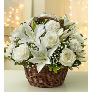  Alanya Blumen - Arrangements