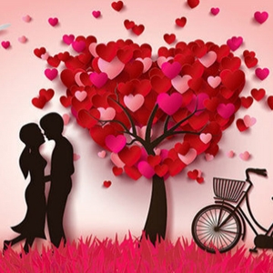 Alanya Florist - Liebe