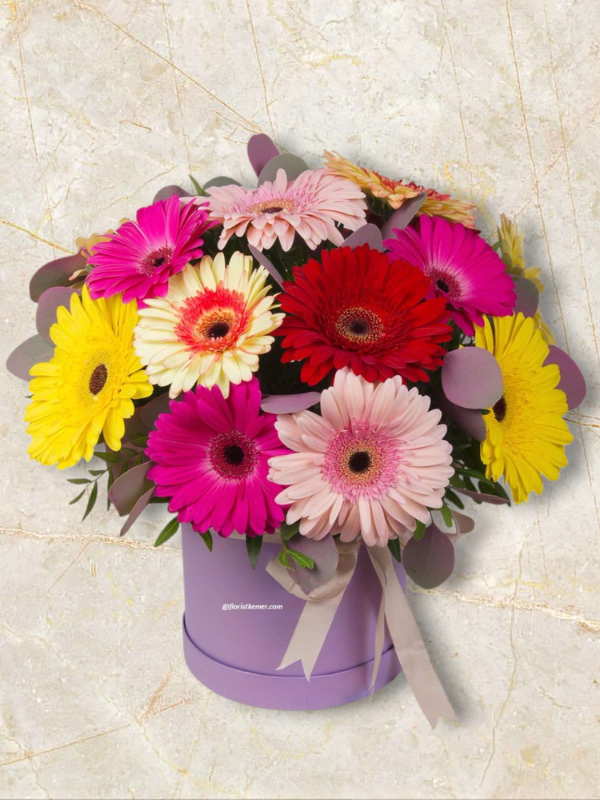 Alanya çiçek gönder - Kutuda Gerbera Buketi
