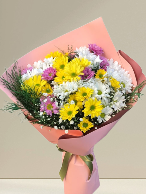 Alanya çiçekçi - Rengarenk Papatyalar