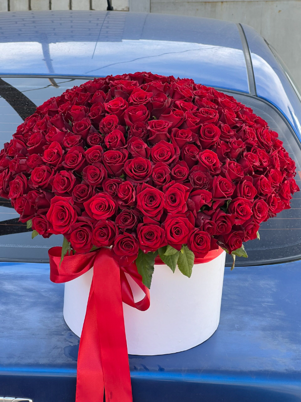  Armağan Çiçekçilik Alanya - 151 Kırmızı Gül Kutu İçinde