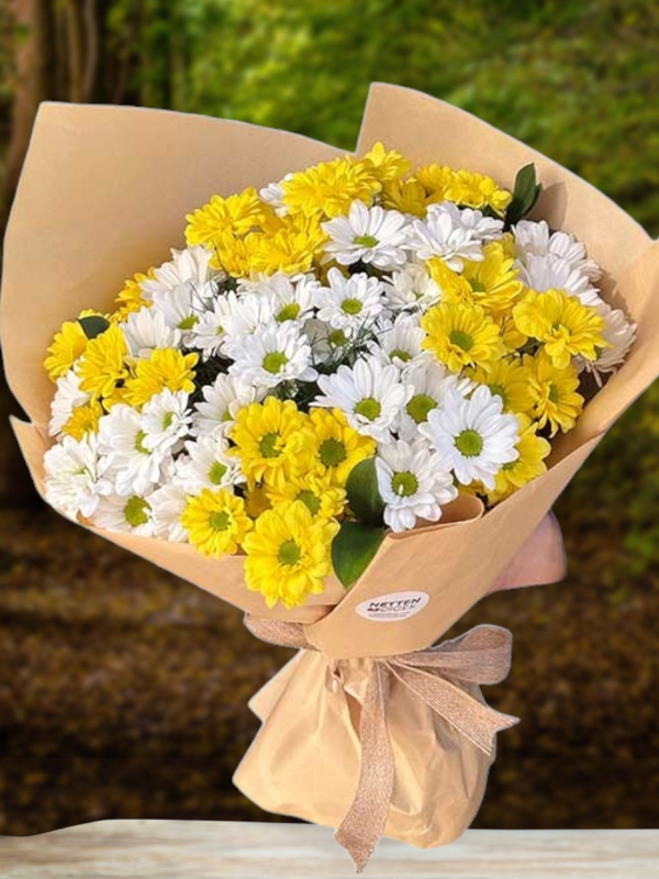  Alanya online çiçek - Sarı Beyaz Papatyalar