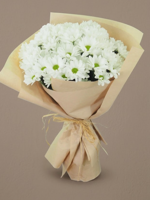 alanya çiçekçi - Beyaz Papatya Demeti