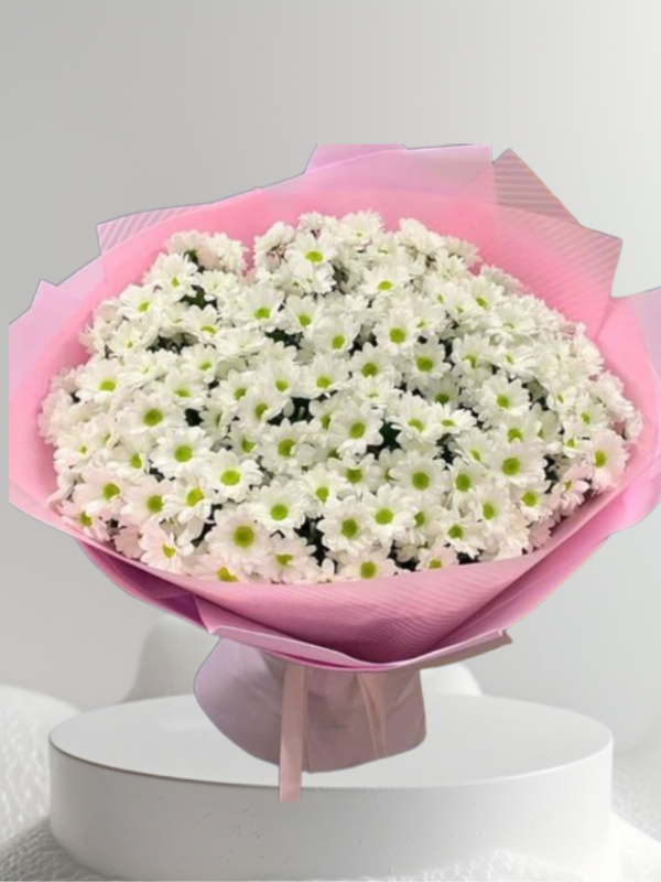  Alanya online çiçek - Büyük Boy Beyaz Papatya Buketi