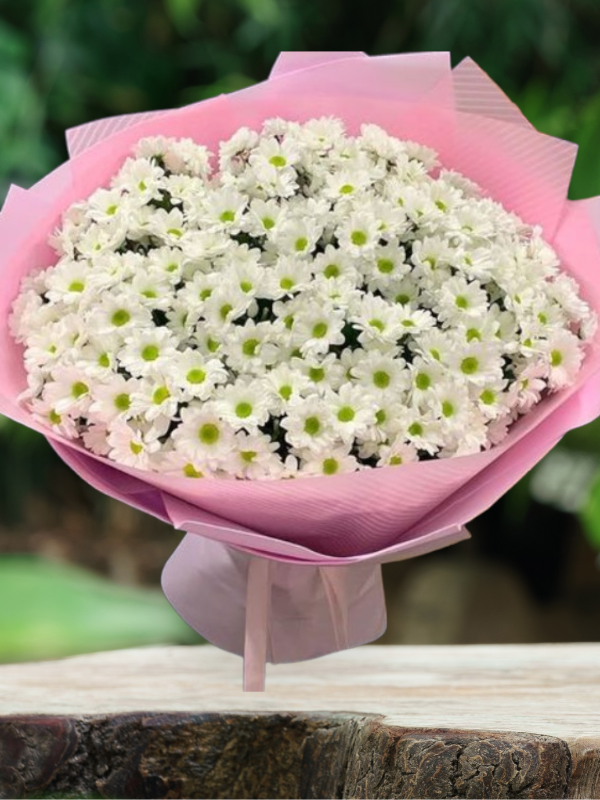 Alanya çiçekçi - Büyük Boy Beyaz Papatya Buketi