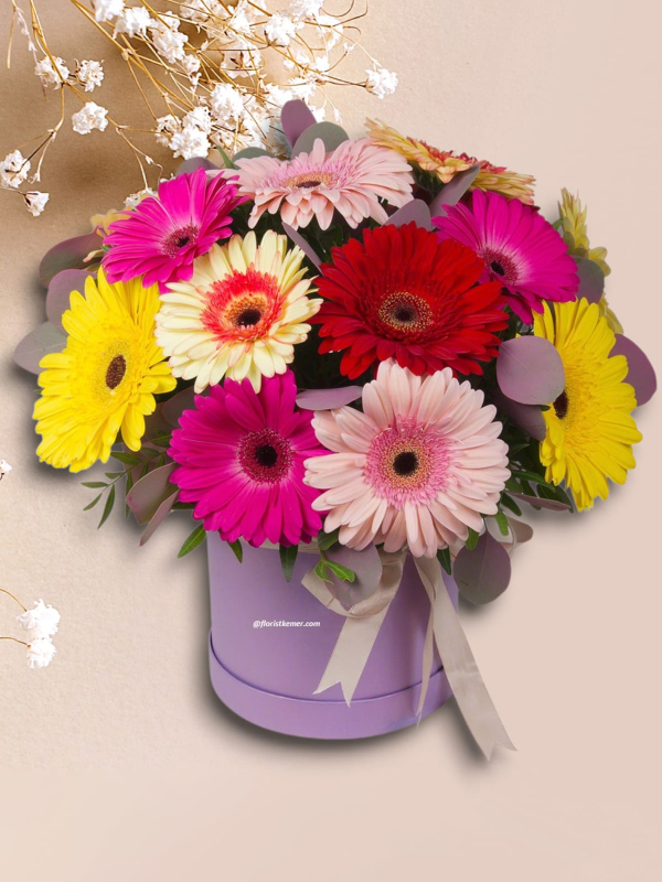  Alanya çiçek gönder - Kutuda Gerbera Buketi