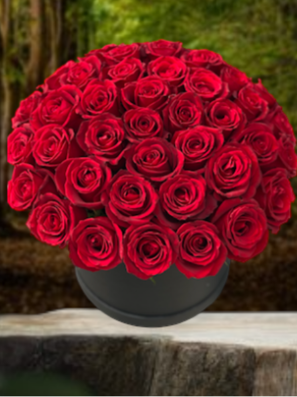  Alanya online çiçek - SÜPER FİYAT 41 Kırmızı Gül