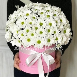  Alanya aynı gün çiçek - Kutuda Krizantemler