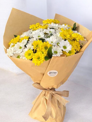  Alanya online çiçek - Sarı Beyaz Papatyalar