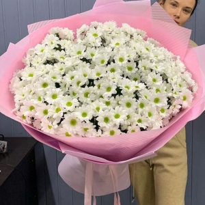  Alanya online çiçek - Büyük Boy Beyaz Papatya Buketi