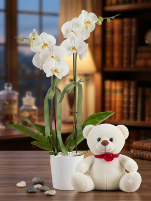  Alanya Florist - Çift Dallı Orkide ve Sevimli Ayıcık