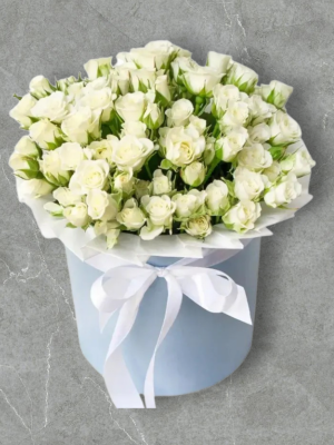  Alanya aynı gün çiçek - Kutuda Minyatür Güller