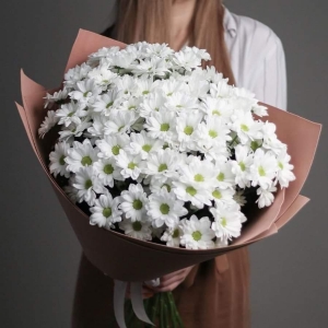 Alanya çiçekçi - Papatya Buketi 