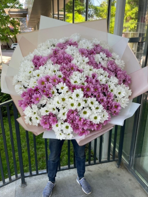  Alanya online çiçek - Rengarenk Büyük Papatya Buketi