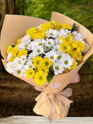  Alanya online çiçek - Sarı Beyaz Papatyalar