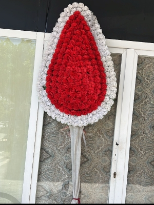  Alanya online çiçek - Açılış Düğün için Saksı Çiçeği