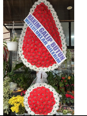  Alanya online çiçek - Açılış Düğün için Saksı Çiçeği