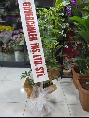  Alanya online çiçek - Açılış Düğün 10