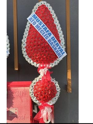  Alanya online çiçek - Açılış Düğün için Saksı Çiçeği