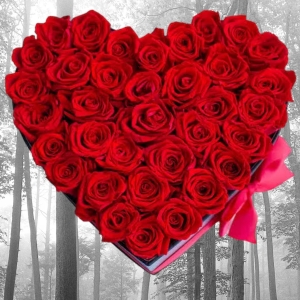  Armağan Çiçekçilik Alanya - Kalp Kutuda 35 Kırmızı Güller