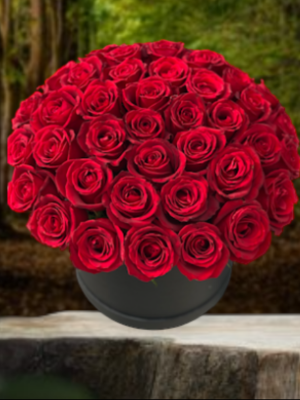  Alanya online çiçek - SÜPER FİYAT 41 Kırmızı Gül